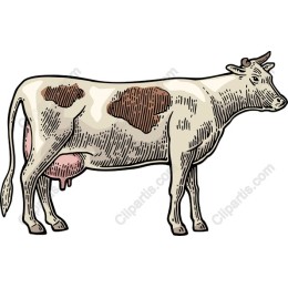 Vintage Cow