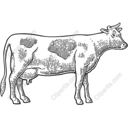 Rustic Hand-Drawn Cow