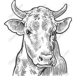 Vintage Cow