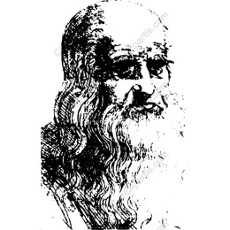 Leonardo Da Vinci Portrait