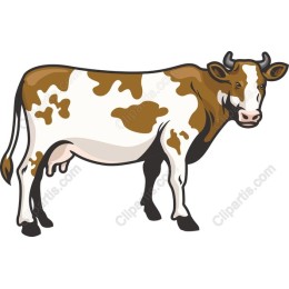 Charming Brown and White Cow