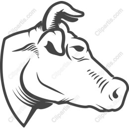 Cow Head