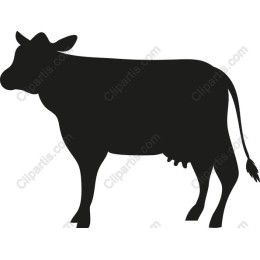 Black Cow