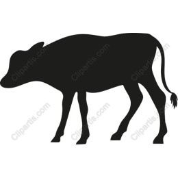 Elegantly Simple Cow