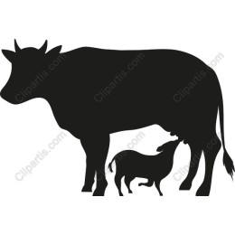 Mother Cow and Calf