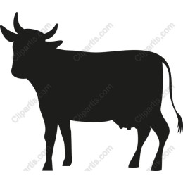 Versatile Cow