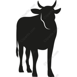 Majestic Cow