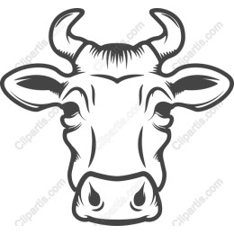 Majestic Cow Head