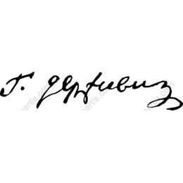 Elegant Handwritten Signature