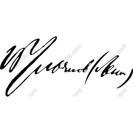 Elegant Artistic Signature
