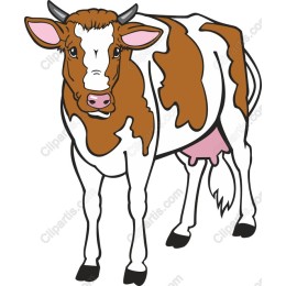 Charming Cow
