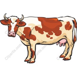 Cartoon Cow