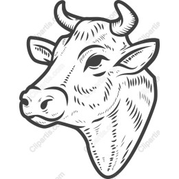 Vintage Cow Head