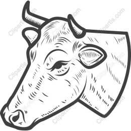 Vintage Cow Head