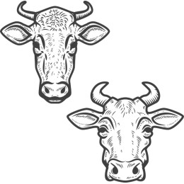 Rustic Vintage Cow Head Set