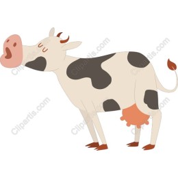 Charming Cow