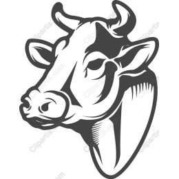 Black-and-White Cow Head