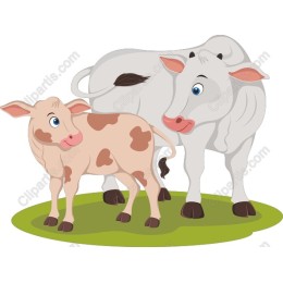 Charming Cow and Calf