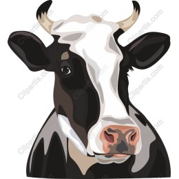 Charming Cow