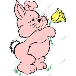 Cute Bunny with Flower