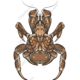 Intricate Crab