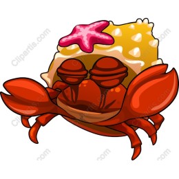 Cheerful Hermit Crab