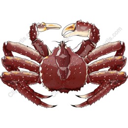 Vibrant Crab