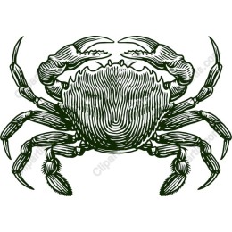 Vintage Crab