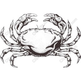 Premium Crab