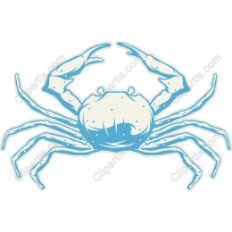 Elegant Crab