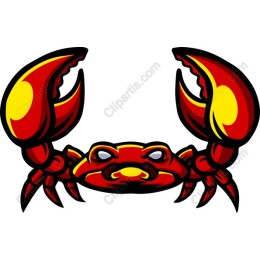 Vibrant Red Crab