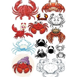 Crab Set - 12 Unique