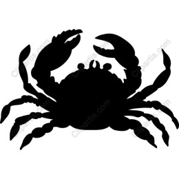 Elegant Crab