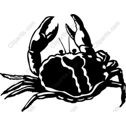 Artistic Crab