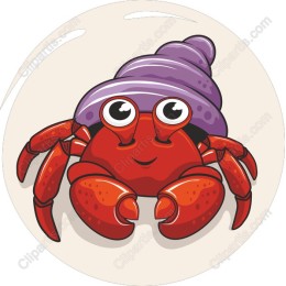 Adorable Hermit Crab