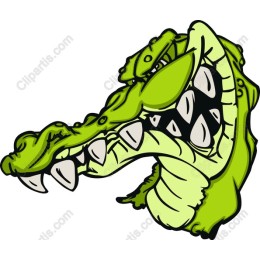 Vibrant Crocodile Head