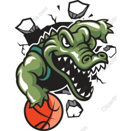 Fierce Alligator Basketball
