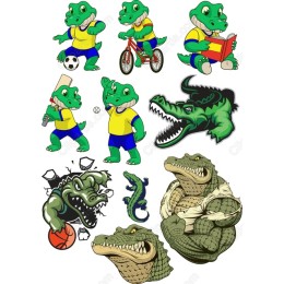 Alligator Bundle