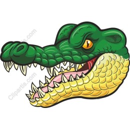 Vibrant Crocodile Head