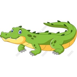 Cartoon Crocodile
