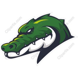 Fierce Alligator Head