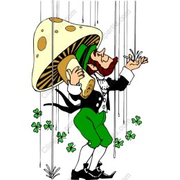 Whimsical Leprechaun with Mushroom