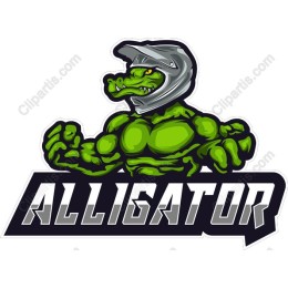 Alligator Muscle