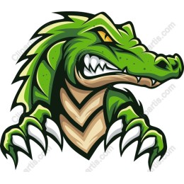 Fierce Crocodile