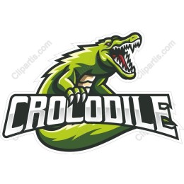 Vibrant Crocodile