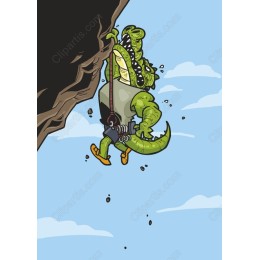 Crocodile Adventure Climber