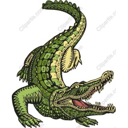 Vibrant Crocodile