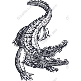 Dynamic Black and White Crocodile