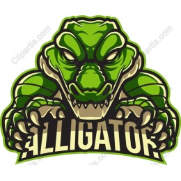 Alligator Aggression