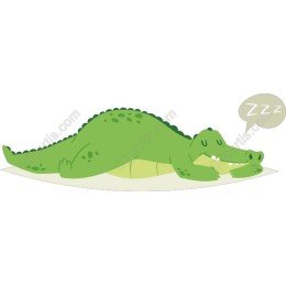 Sleepy Crocodile